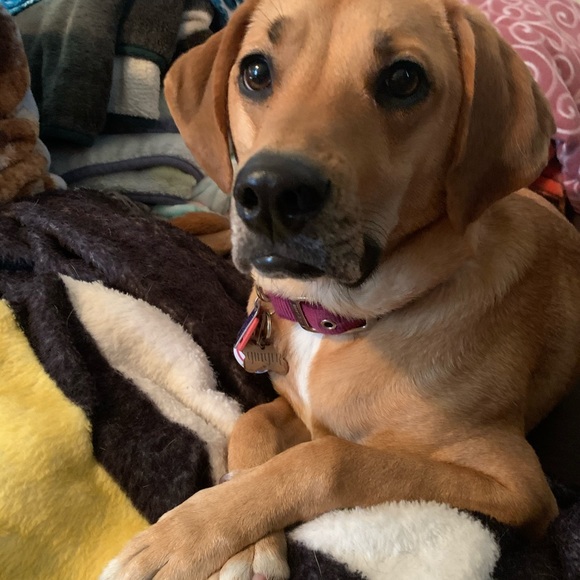 Meet your Posher, Todd - Picture 2 of 2